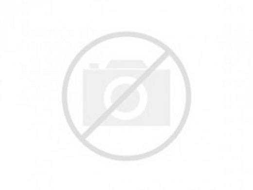 日本側から見たWSE生産の有利性/優位性　～その１～