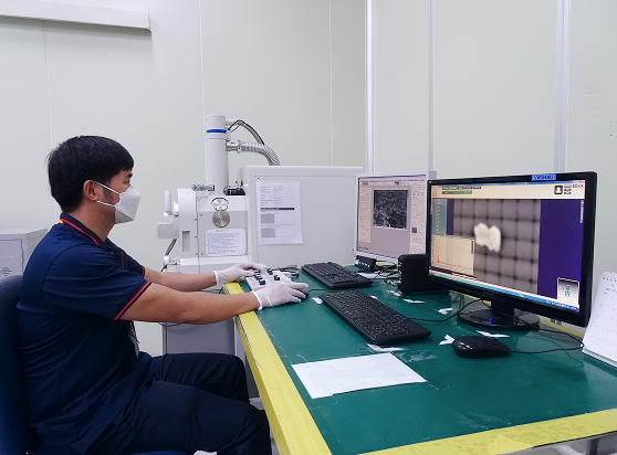 電子走査顕微鏡 (SEM)エネルギー分散型X線分析 (EDX)